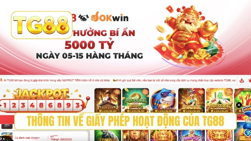 Thông tin về giấy phép hoạt động của TG88